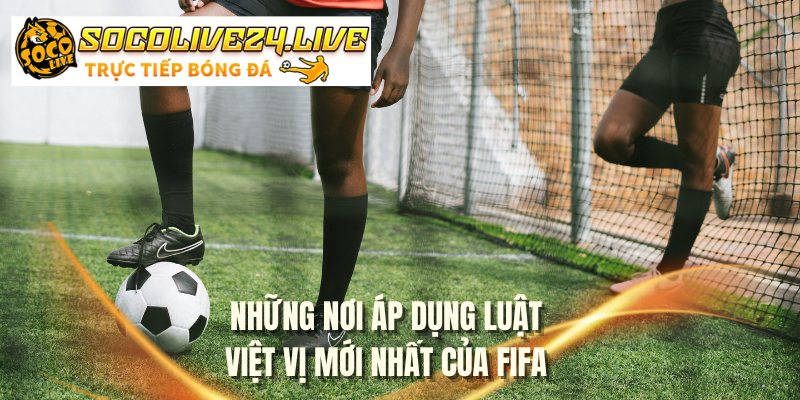 Lợi ích mà các đội đấu nhận được khi thi