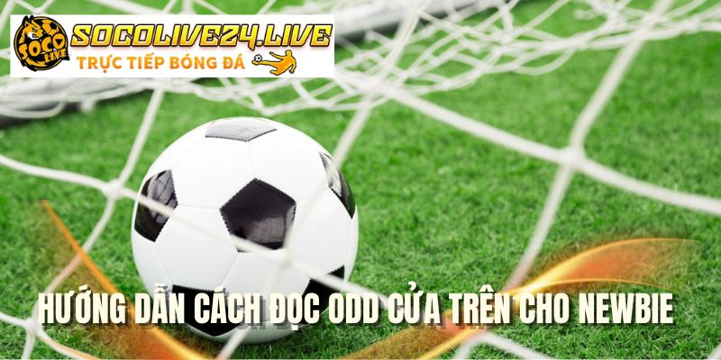 Hướng dẫn cách đọc odd cửa trên cho Newbie
